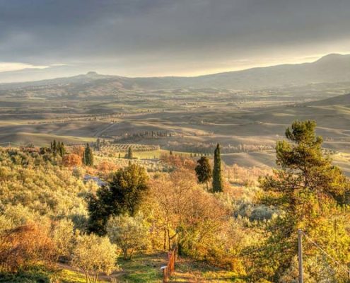 tour enogastronomico pienza